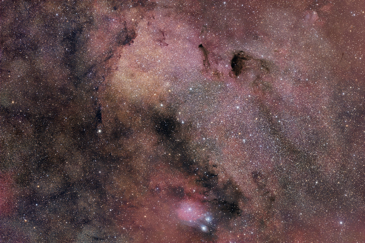 UC76 - M24 - Dear Bear