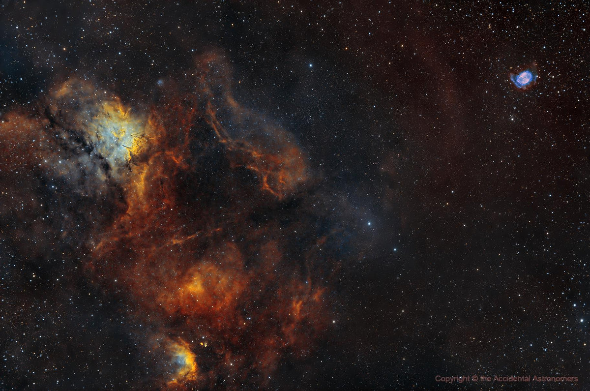 Z61 - M27 - Timothy Martin