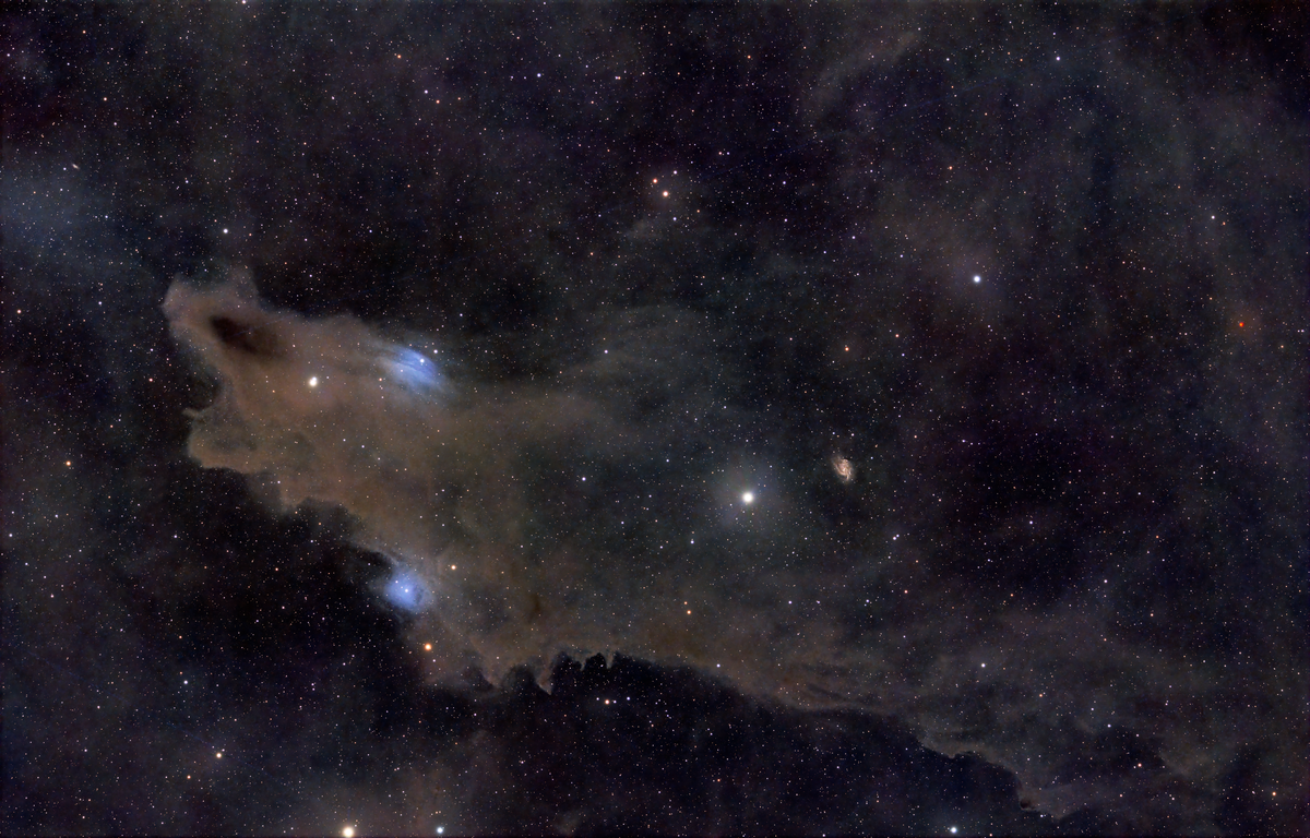 Z81 - LDN1235 - Travis Cunningham