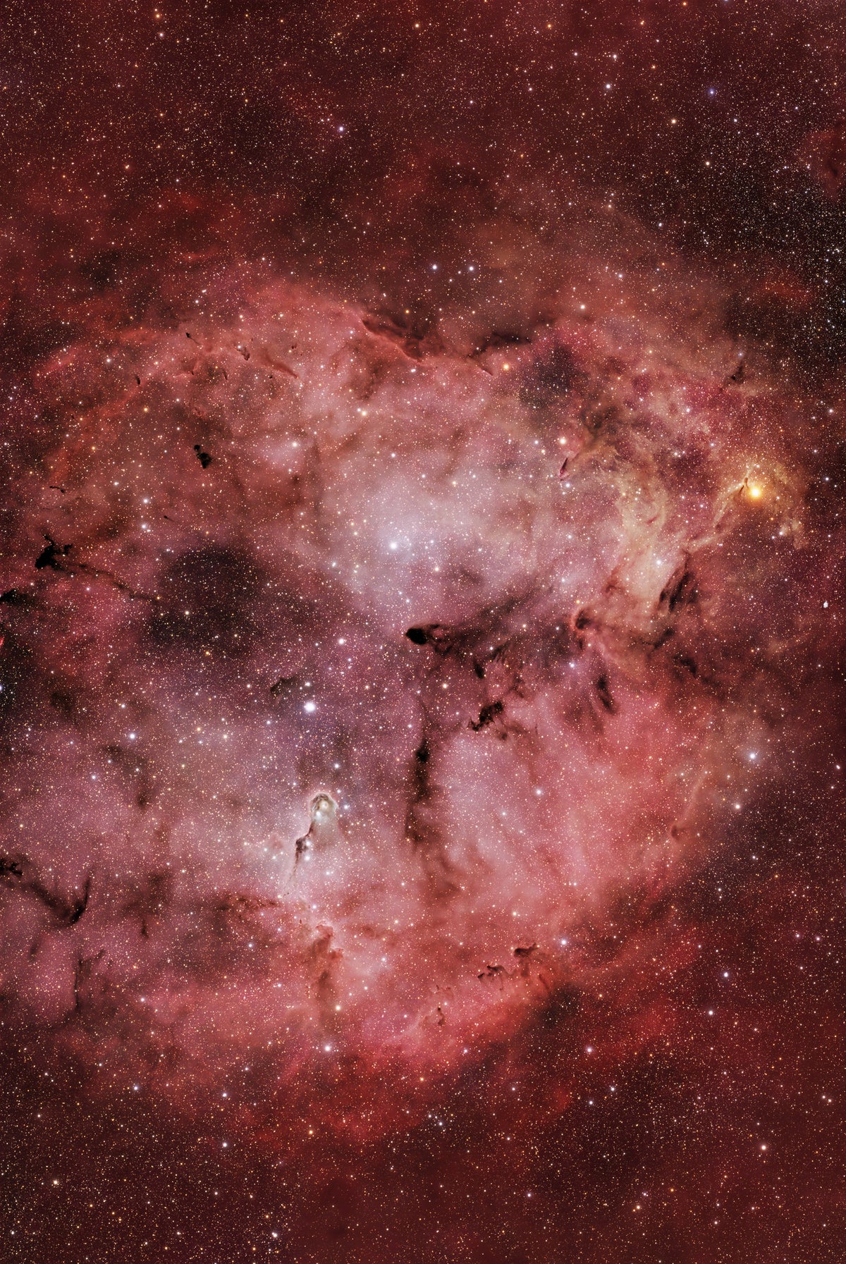 UC76 - IC1396 - Dear Bear