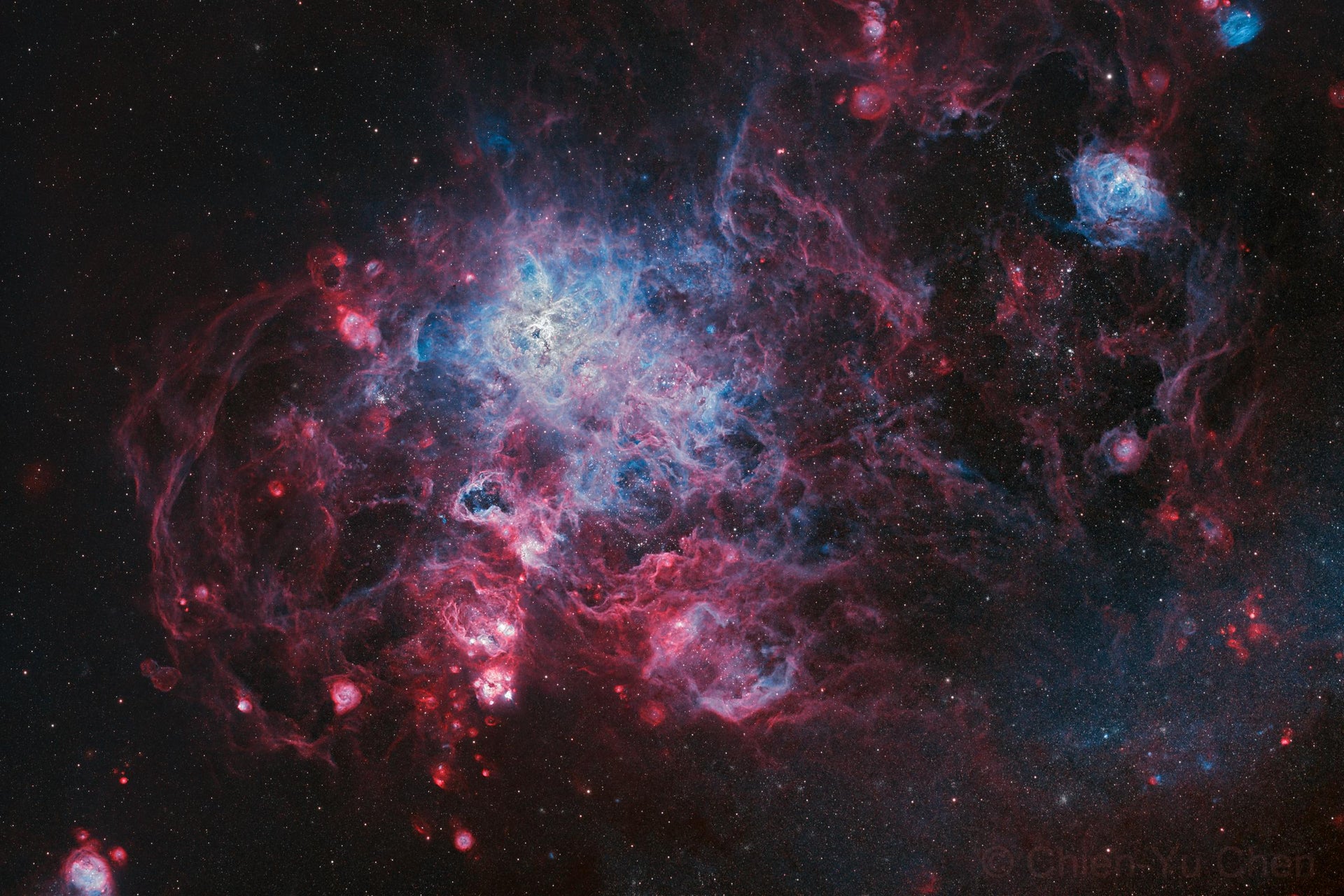 FLT91 - Tarantula - Chien-Yu Chen