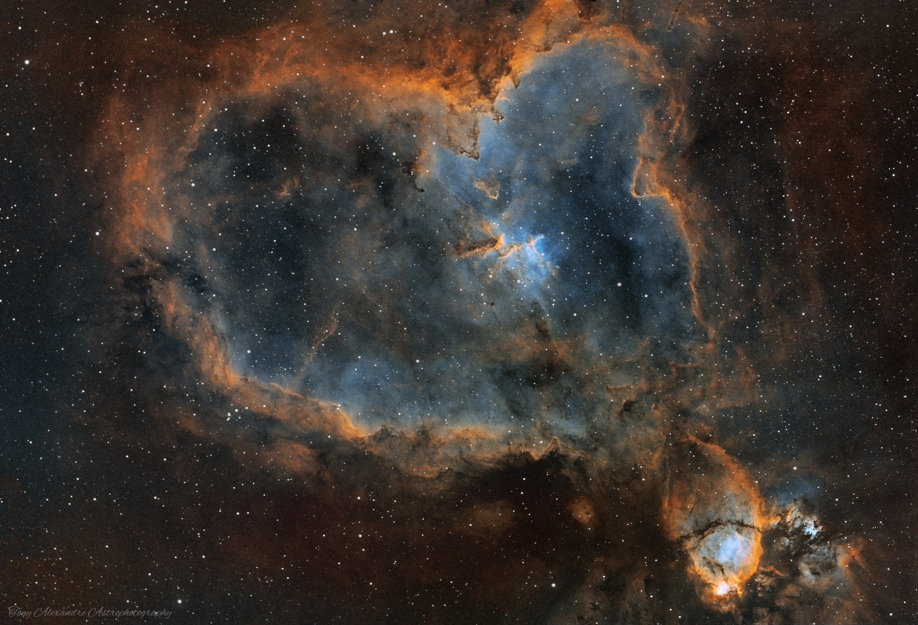 FLT91 - IC1805 - Taman