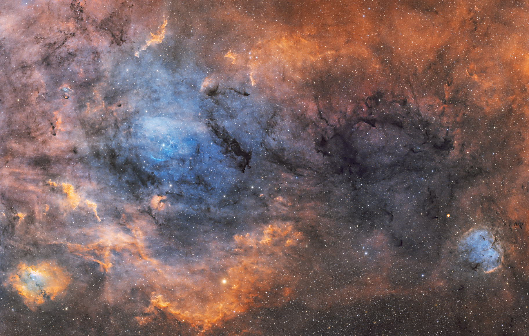 RC61 - Elephant - Jeffrey Horne