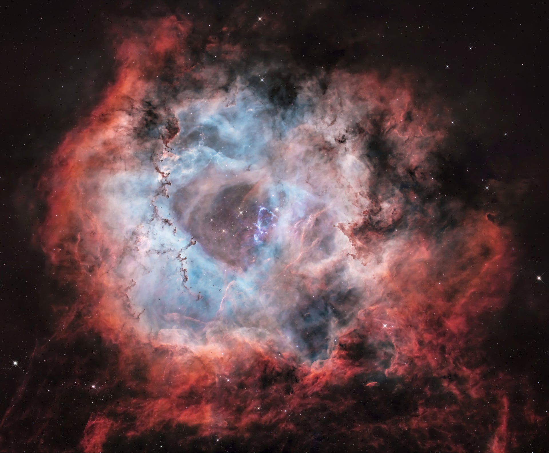 UC108 - Rosette - Rob Pauza